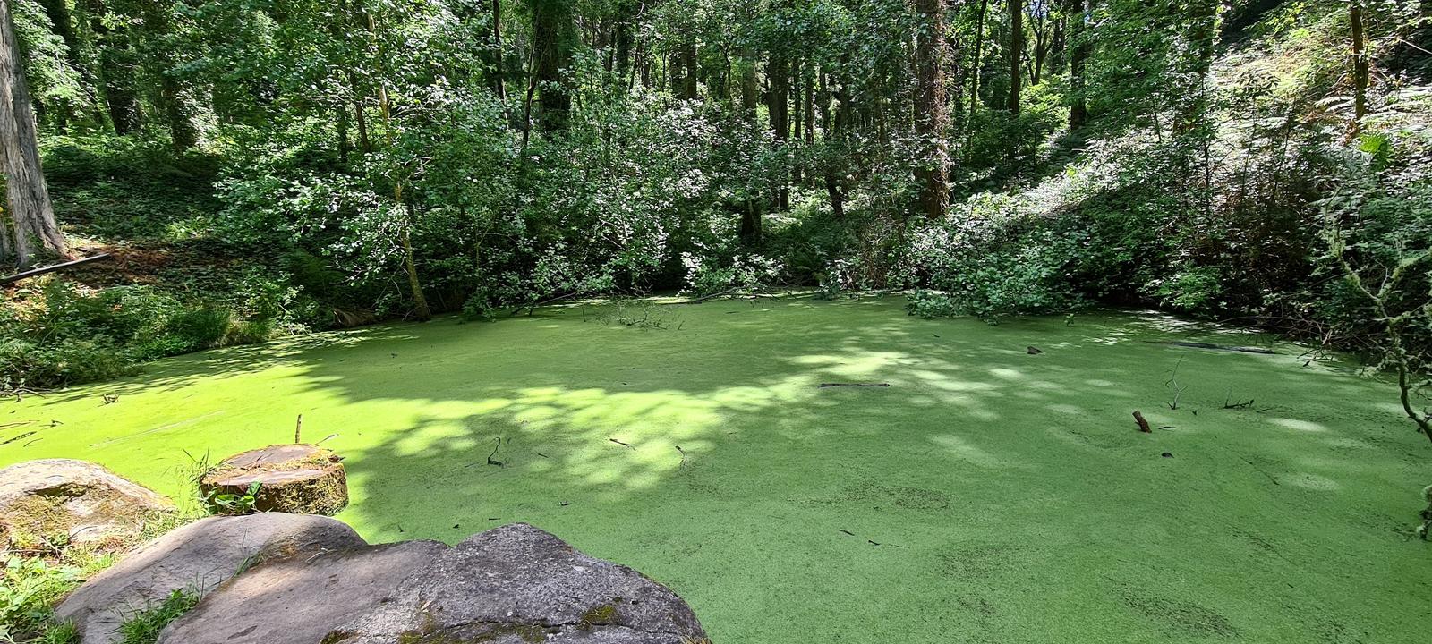 Senhora da Peninha Sintra